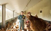 Gerda Briene temidden van haar biologische kippen. De boerin uit Wierden presenteerde het eerste exemplaar van haar boek over de fipronilcrisis aan burgemeester Van Dijk van Barneveld, „een man met het hart op de juiste plaats.” beeld Jan van de Maat