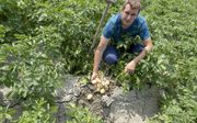 De aardappelen van Willem Cevaal groeien door de droogte veel trager dan in andere jaren. Hij verwacht een kleinere oogst maar hoopt tegelijk op een betere prijs.  beeld Dirk-Jan Gjeltema