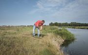 Erik Schuringa van waterschap Hunze en Aa’s inspecteert dinsdagmorgen de dijk langs het Slochterdiep, in de provincie Groningen. Door de droogte zijn veendijken kwetsbaar.   beeld Sjaak Verboom