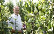Albert Schulp, eigenaar van Schulp Vruchtensappen, tussen de perenbomen. „Ik kan niet anders zeggen dan dat ons werk is gezegend.” beeld RD, Anton Dommerholt