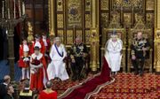 Koningsmantel en kroon ontbreken in Groot-Brittannië niet. beeld AFP, Justin Tallis
