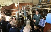 Zeven keer vijf pakken melk zitten er in de krat die boer Bert Zonnenberg laat zien aan een kleuterklas. „Een koe geeft 35 liter melk per dag.” Weer wat geleerd.  beeld RD