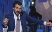 Matteo Salvini. beeld EPA, Massimo Percossi