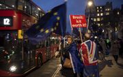 Tegenstanders van de brexit protesteerden maandag voor het Britse parlementsgebouw in Londen. Het Lagerhuis stemt dinsdagavond over de deal die premier Theresa May met de EU sloot. beeld AFP, Oli Scarff