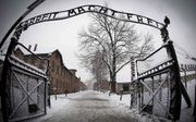 Antisemitisme bleek in 2018 groter dan ooit. Foto: toegangspoort van het vernietigingskamp in Auschwitz.  beeld AFP, Joel Saget