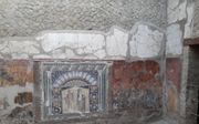 Mozaïek in het Huis van Neptunus en Amphitrite. beeld Ewout Kieckens