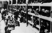 Joodse vrouwen in vernietigingskamp Auschwitz kort na de bevrijding in januari 1945.  beeld ANP