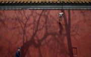 Een man loopt in Beijing, China, langs een muur waaraan een bewakingscamera is bevestigd. beeld EPA, Wu Hong