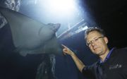 ​Bioloog Max Janse in de Ocean van Burgers’ Zoo. beeld VidiPhoto