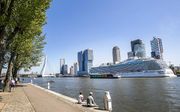 Het cruiseschip Regal Princess in Rotterdam. beeld ANP