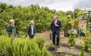 Koning Willem-Alexander bezoekt een perenboomgaard in Zoetermeer. beeld ANP