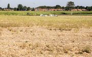 Gewassen hebben te lijden onder de droogte. beeld ANP, Vincent Jannink