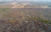 Luchtopname van het Amazone-regenwoud, dat op steeds grotere schaal te maken heeft met ontbossing. beeld EPA, Rogerio Florentino