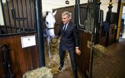 Stalmeester Wassenaar met zijn paard, Mitch, in de Koninklijke Stallen. beeld ANP