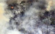 Bosbranden in het Amazonegebied. beeld AFP