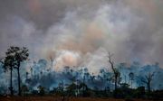 Het verdwijnen van arealen regenwoud kan na het bereiken van een omslagpunt zorgen voor extra CO2 in de atmosfeer.  beeld AFP, Joao Laet