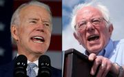 Na de eerste staten gaan senator Bernie Sanders en oud-vicepresident Joe Biden aan de leiding. beeld AFP
