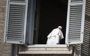 Paus Franciscus. beeld AFP, Alberto Pizzoli