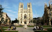 De Sint-Michiels- en Sint-Goedelekathedraal in Brussel. beeld ANP, Lex van Lieshout
