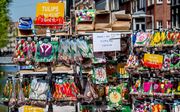 „Gebleken is dat maar 1 procent van de bloembollen die toeristen in Amsterdam kopen werkelijk tot bloei komt.” beeld ANP, Robin Utrecht
