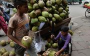 Kinderen verkopek kokosnoten in New Delhi. beeld AFP
