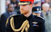 De Britse prins Harry. beeld AFP