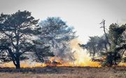 In het Mensingebos in Drenthe woedde op 5 april ook een grote natuurbrand. beeld ANP
