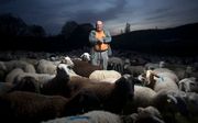Een Spaanse schaapherder poseert met zijn schapen in Ronda. beeld AFP