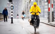 Een fietser trotseert de regen op de Erasmusbrug. beeld ANP