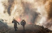 Brandweermensen brengen zich in veiligheid, bij het blussen van bosbranden in het midden van Portugal. Tientallen mensen vonden de dood. beeld EPA