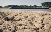De bodem van de oever van de Rijn is gescheurd door de droogte. beeld ANP