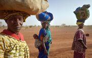 Vrouwen van de Dogon-stam in Mali. Archiefbeeld AFP