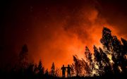 Bosbrand in Portugal. beeld AFP