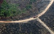 Een verbrand deel van het Amazoneregenwoud, gezien vanuit de lucht. beeld AFP
