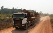 Nederland is als de vierde importeur van palmolie ter wereld een van de drijvende krachten achter het proces van ontbossing. beeld EPA,