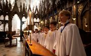 Choir of Winchester Cathedral. beeld Winchester Cathedral