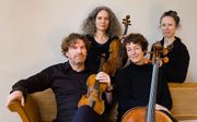 Het Narratio Kwartet met violist Johannes Leertouwer, altvioliste Dorothea Vogel, celliste Viola de Hoog en violiste Anneke van Haaften (v.l.n.r.). beeld Marten Root