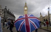 De stemming over de brexit maakt bij Engelsen allerhande emoties los.  beeld AFP, Justin Tallis