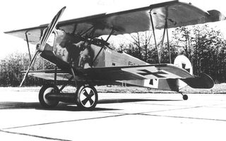 Een Fokker D.VII met een mitrailleur die tussen de propellerbladen doorschoot. beeld ANP
