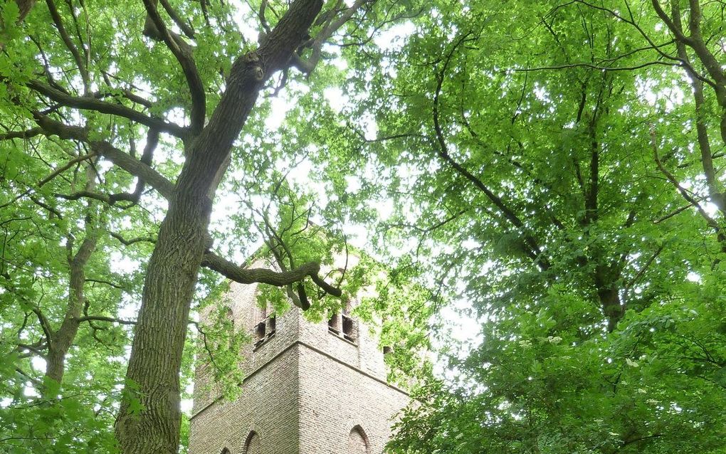 De Oude Toren. beeld Wikimedia