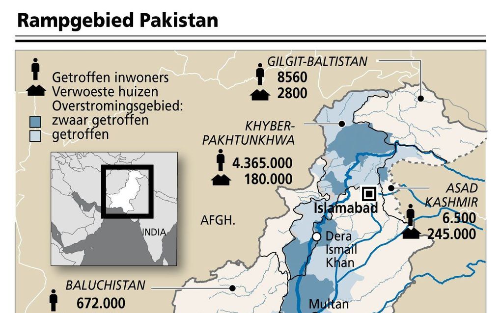 Infographic ANP