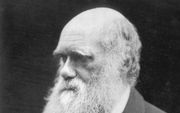 Charles Darwin op een foto uit 1868. Volgens wetenschapsjournalist Tom Bethell is het  darwinisme geen toetsbare wetenschappelijke theorie is, maar een metafysisch onderzoeksprogramma. beeld Wikipedia