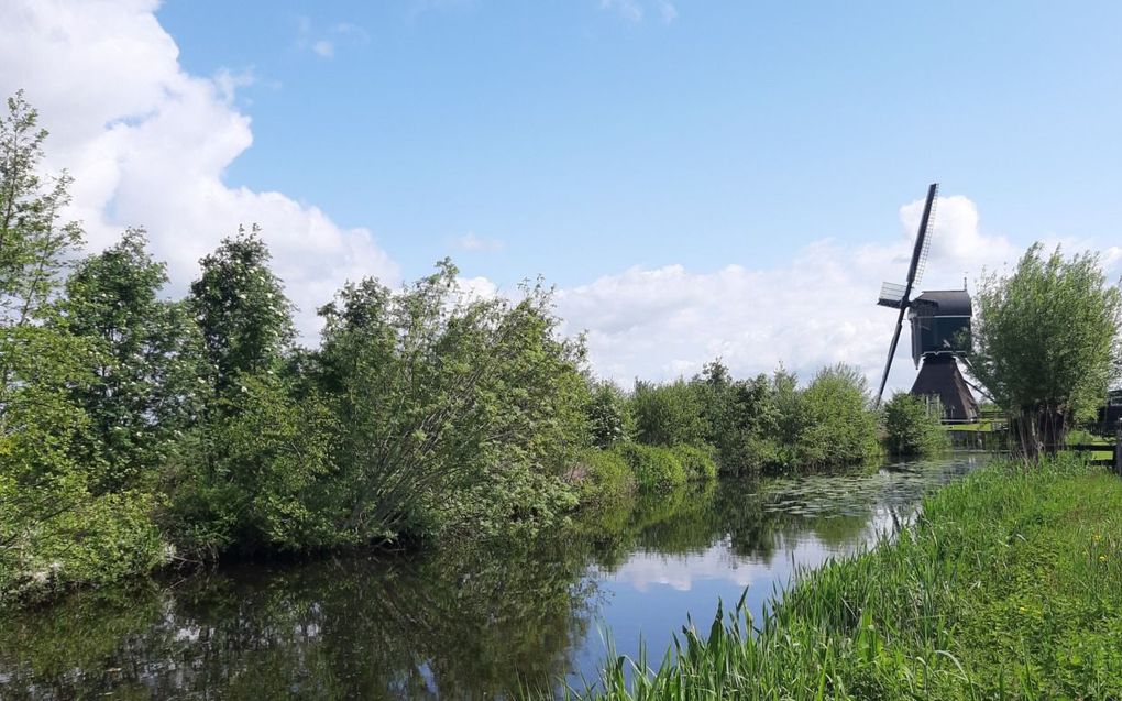 De Oucoopse Molen. beeld Els van der Vlist