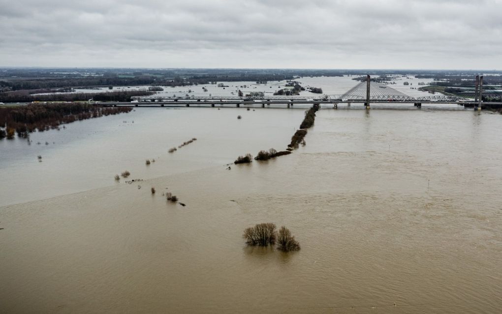 Een dronefoto van hoogwater in rivier de Waal. Op verschillende plekken in Nederland staat het water erg hoog, door de hevige regenval. beeld ANP, Rob Engelaar