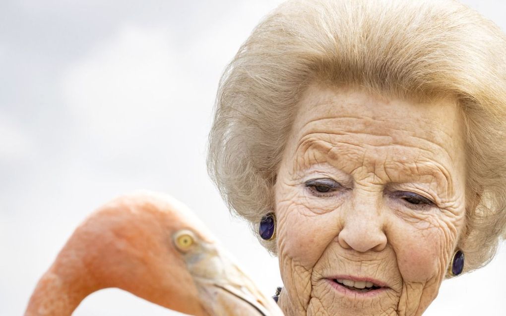 2021 - Prinses Beatrix bezoekt op de tweede dag van een driedaags werkbezoek aan Curacao samen met leerlingen van de St. Margarethaschool de zoutpannen, waar een flamingo (Oscar) wordt uitgezet.  beeld ANP, Koen van Weel