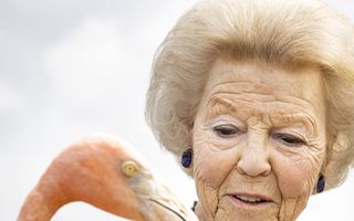 2021 - Prinses Beatrix bezoekt op de tweede dag van een driedaags werkbezoek aan Curacao samen met leerlingen van de St. Margarethaschool de zoutpannen, waar een flamingo (Oscar) wordt uitgezet.  beeld ANP, Koen van Weel