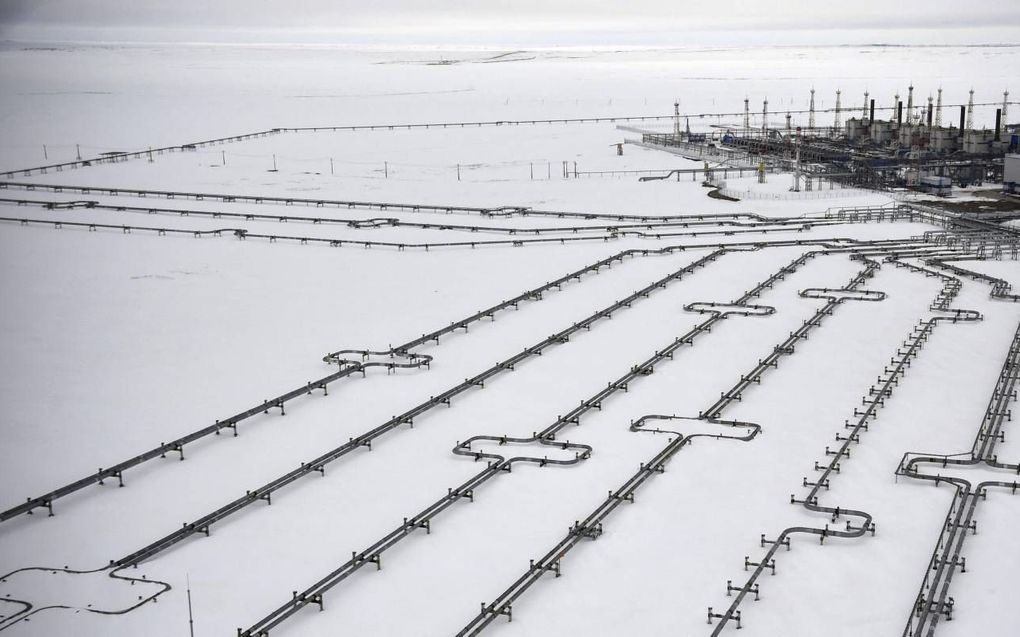 Gasleidingen in het Russische Bovanenkovo. beeld AFP, Alexander NEMENOV