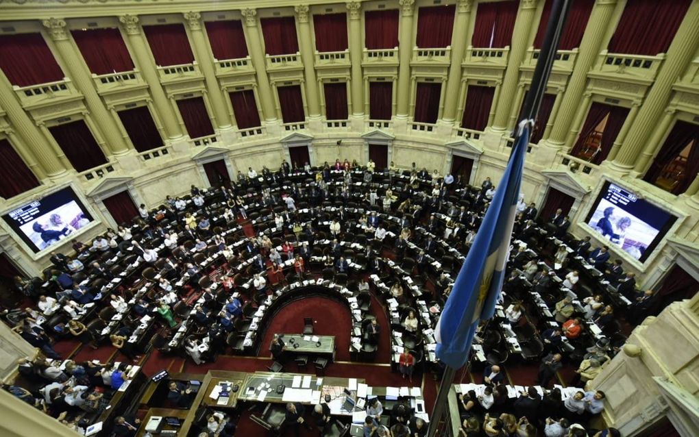 Het parlement van Argentinië. beeld Wikipedia