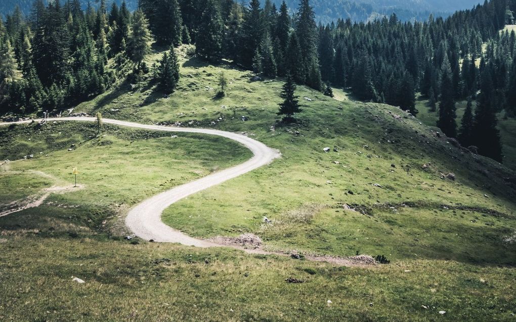 De vrouw verloor haar evenwicht en viel 30 tot 40 meter naar beneden langs een steil alpenweiland. beeld Unsplash