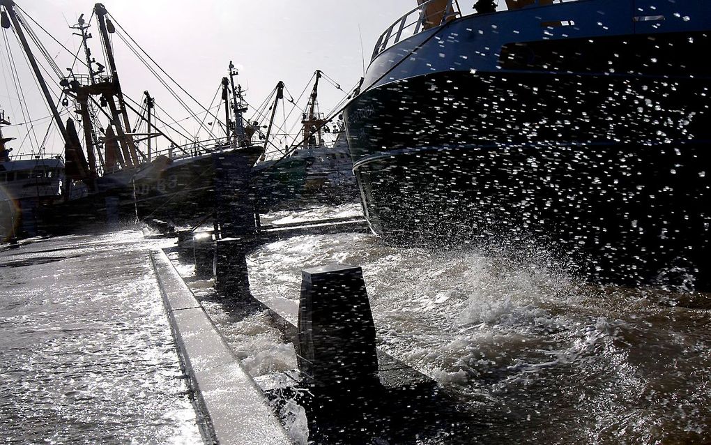 De vissershaven in Harlingen tijdens een storm in 2008. Foto ANP